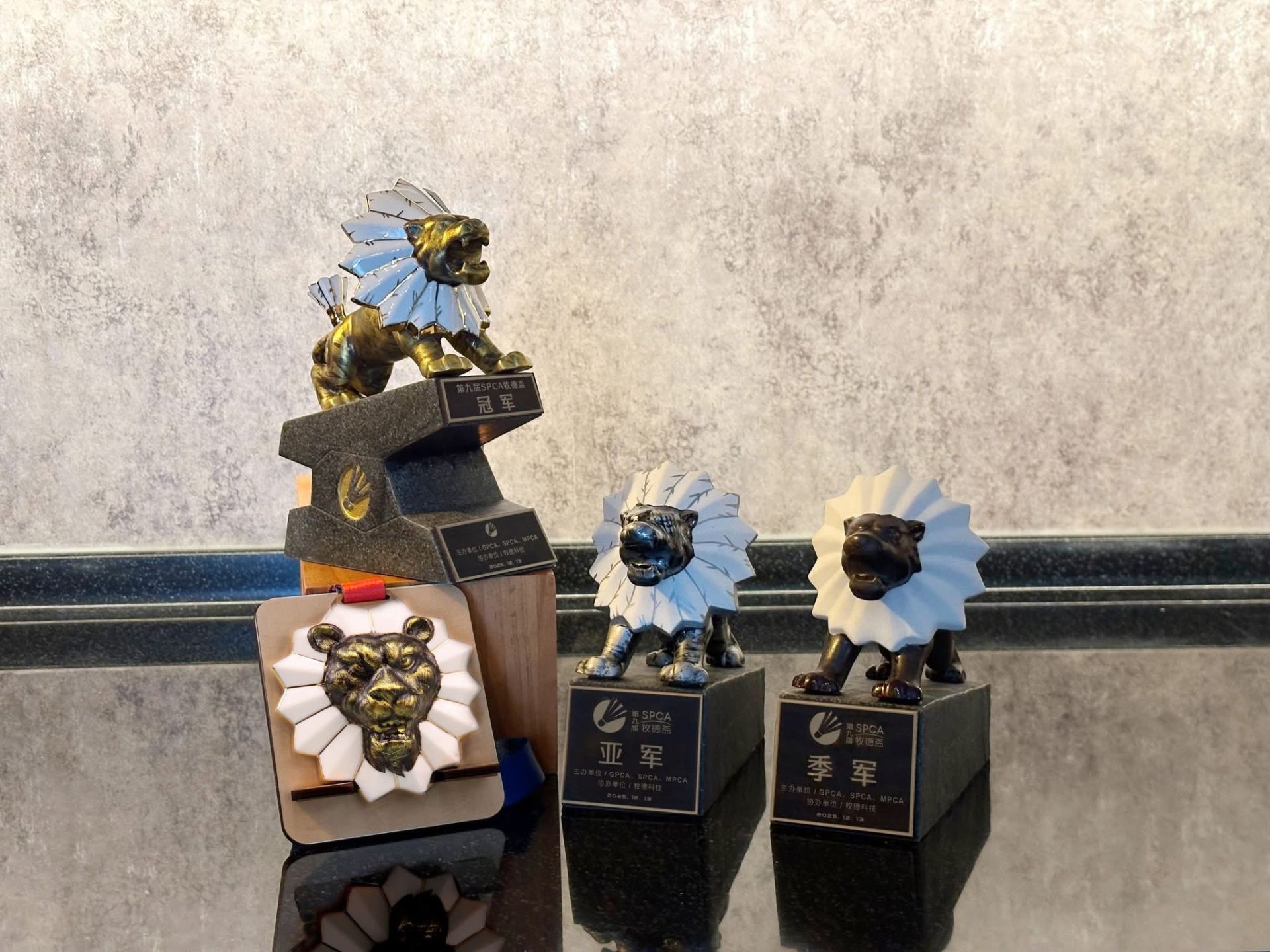 598708306_1288103263343265_4454176250721180578_n